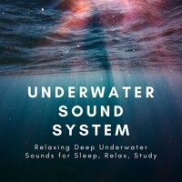Sleep, Relax, Study - Underwater Sounds Specialists