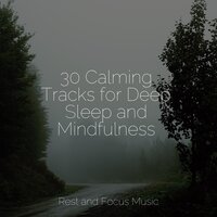 Kaleidoscope of Dreams - Relaxing Mindfulness Meditation Relaxation Maestro & Meditation Music Experience & Yoga Namaste