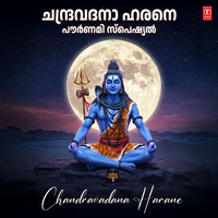 Ashtapatheelayam (From "Krishnarpanam") - Ganga