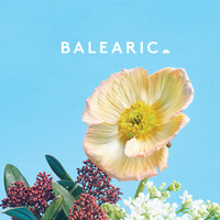 Faron - Gallo
