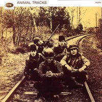 How You've Changed - The Animals