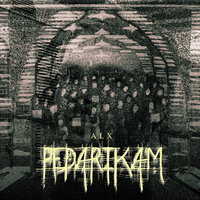 Pedarikam - ALX & Seqsi Onions