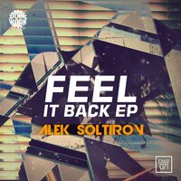 The Instructions - Alek Soltirov