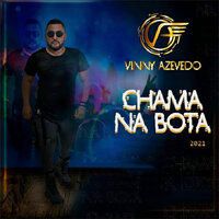 O Cara do Desmantelo - Vinny Azevedo