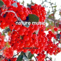 mehndi - Ambient Aura