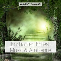 Greylock - Ambient Channel