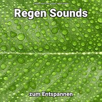 Sounds von Regentropfen zum Einschlafen - Clemens Gesel & Rain Sounds & Nature Sounds