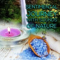 Ultimate Spa Relaxation - Universe of Nature Orchestra