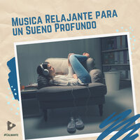 Canciones de Aves en Su Máxima Expresión - #Calmante & Musica Relajante Para Dormir