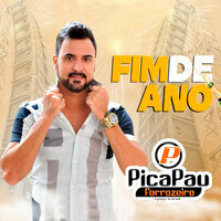 Vida de Vaqueiro - Pica Pau Forrózeiro