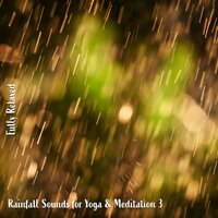 Rainfall Sounds for Yoga & Meditation, Pt. 13 - Steve Brassel
