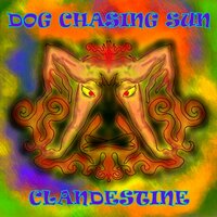 The Witch - Dog Chasing Sun