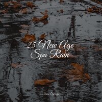 Rains in the Sky - The Sleep Principle & Gentle Rain Makers & ASMR Rain Sounds