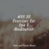 Spring's Awakening - Wellness & Academia de Música con Sonidos de la Naturaleza & Deep Sleep Music Delta Binaural 432 Hz