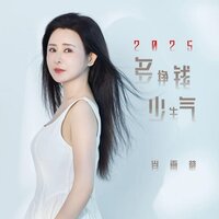 2025多挣钱少生气 - 肖雨蒙