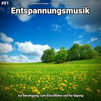 Klangvolle Musik zum Stressabbau - Entspannungsmusik Paul Esgen & Schlafmusik & Entspannungsmusik