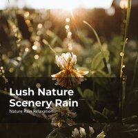 Vigorous Whirlwind - Rain Recorders & Rainfall & Nature Rain Relaxation