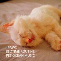 Best Sleeping Music FOr Dogs - Pet Care Club & Pet Music Academy & Music For Cats