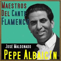 Yo No Le Temo a la Muerte (Seguiriyas) - Pepe Albaicín & Paquito Simón
