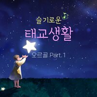 슈만 : 트로이메라이 (오르골) - Sweet Dreams