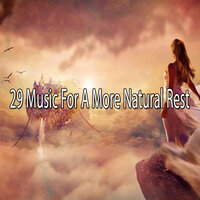 Вознеситесь к высшему существу - Nature Ambience