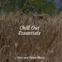 Chakra Shaman Healing - Deep Sleep & Nature Sound Collection & Ocean Sounds
