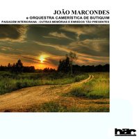 Passarinhos - João Marcondes & Orquestra Camerística de Butiquim