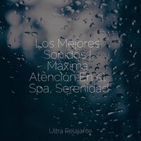 Lágrimas Felices Como Olas - Meditación Guiada & Musica Para Niños & Meditação Maestro