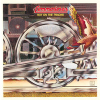Captain Quickdraw - Commodores
