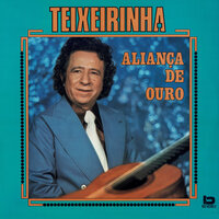 É Meu, É Só Meu - Teixeirinha