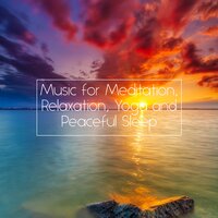 Enigmatic Study No. 2 - Yoga Music & Yoga Tribe & Yoga Workout Music