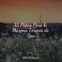 Onda Especial - Música para Relajarse Profundamente & Meditação Zen & Dormir