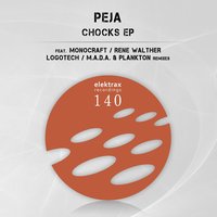 Flection - Peja