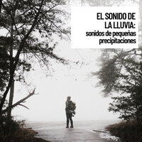 Light Rain on the Street - Naturaleza Sonidos & Musica para Concentrarse & Musica relajante