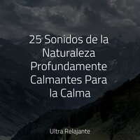 Primavera - Musica para Dormir Dream House & Musica Para Meditación Profunda & Música para Relaxar Maestro