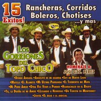 Llegando a Herreras - Los Gorriones Del Topo Chico