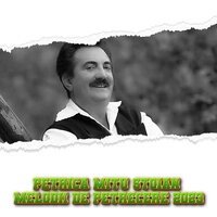 Petrica Mitu Stoian Melodii de petrecere 2023 - Petrică Mîțu Stoian