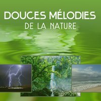 Transformation mentale - Oasis des Bruits Naturels