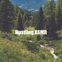 Grass with Leaves Rustling - Nature Soundscapes