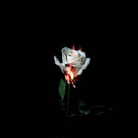 Death Row - Tvbuu