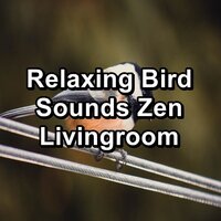 Forest Chickadees Sounds - Nature Sounds & Bird Songs & Calm Singing Brids Zone