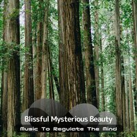 An Instrument of Tranquility - Blissful Mysterious Beauty
