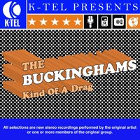 Love Ain't Enough - The Buckinghams