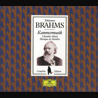 Brahms: Piano Quartet No. 3 in C Minor, Op. 60 - 4. Finale (Allegro) - Tamás Vásáry & Thomas Brandis & Wolfram Christ & Ottomar Borwitzky & Иоганнес Брамс
