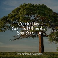 Pax Universae - Musica Reiki & Meditação Yoga & Sleepy Night Music