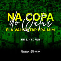 Na Copa do Qatar Ela Vai Sentar pra Mim - MINI DJ & MC Pilim