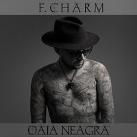 Ochii din întuneric - F.Charm & Aris