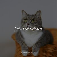 Peace and Tranquility - Music for Cats Deluxe & Cats Music Zone & Cat Music Dreams