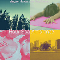 Amazing Koto and Strings - Vibe for Revitalizing Facials - 1 Hour Spa Ambience