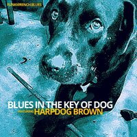 Blues In The Key Of Dog - Funkwrench Blues & Harpdog Brown